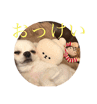 ミーくんは天使の輝き（個別スタンプ：5）