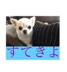 ミーくんは天使の輝き（個別スタンプ：7）