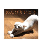 ミーくんは天使の輝き（個別スタンプ：8）