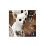 ミーくんは天使の輝き（個別スタンプ：10）