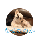 ミーくんは天使の輝き（個別スタンプ：13）