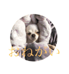 ミーくんは天使の輝き（個別スタンプ：14）