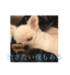 ミーくんは天使の輝き（個別スタンプ：15）