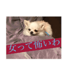 ミーくんは天使の輝き（個別スタンプ：23）