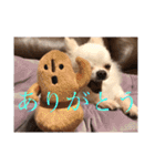 ミーくんは天使の輝き（個別スタンプ：28）