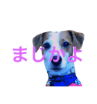 たまに使えるA（個別スタンプ：1）