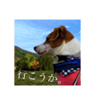 たまに使えるA（個別スタンプ：6）