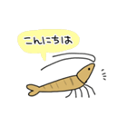 ミナミヌマエビの日常（個別スタンプ：3）