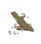 ミナミヌマエビの日常（個別スタンプ：6）