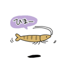 ミナミヌマエビの日常（個別スタンプ：13）