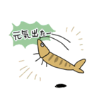 ミナミヌマエビの日常（個別スタンプ：16）