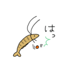 ミナミヌマエビの日常（個別スタンプ：22）