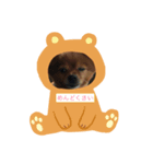いぬーず（個別スタンプ：7）