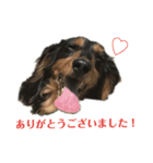 neretime1（個別スタンプ：1）