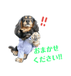 neretime1（個別スタンプ：5）