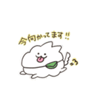スーパーもふもふ犬（個別スタンプ：16）
