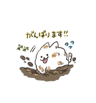 スーパーもふもふ犬（個別スタンプ：25）