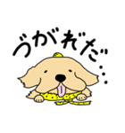 おにのイヌマニ（個別スタンプ：12）