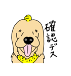 おにのイヌマニ（個別スタンプ：15）