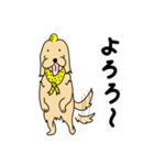 おにのイヌマニ（個別スタンプ：18）