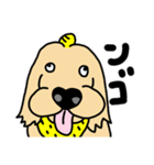 おにのイヌマニ（個別スタンプ：30）