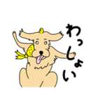 おにのイヌマニ（個別スタンプ：31）