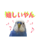 ことりのひとりごと（個別スタンプ：7）