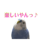 ことりのひとりごと（個別スタンプ：9）