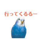 ことりのひとりごと（個別スタンプ：12）