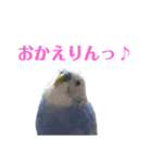 ことりのひとりごと（個別スタンプ：15）
