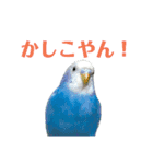ことりのひとりごと（個別スタンプ：16）