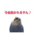 ことりのひとりごと（個別スタンプ：20）