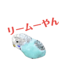 ことりのひとりごと（個別スタンプ：23）