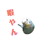 ことりのひとりごと（個別スタンプ：26）