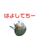 ことりのひとりごと（個別スタンプ：28）