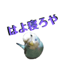 ことりのひとりごと（個別スタンプ：30）