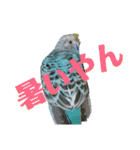 ことりのひとりごと（個別スタンプ：35）