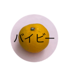 死語スタンプ〜みかんにのせて〜（個別スタンプ：1）