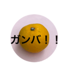 死語スタンプ〜みかんにのせて〜（個別スタンプ：3）