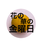 死語スタンプ〜みかんにのせて〜（個別スタンプ：16）