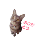 ルナロペスすたんぷ（個別スタンプ：1）