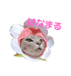 ルナロペスすたんぷ（個別スタンプ：24）