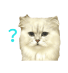 フサネコ4（個別スタンプ：1）