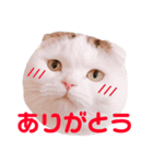 とろろくん（個別スタンプ：5）