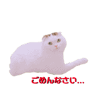 とろろくん（個別スタンプ：6）