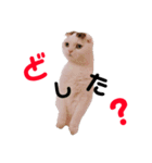 とろろくん（個別スタンプ：13）
