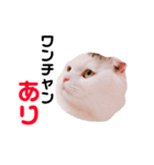 とろろくん（個別スタンプ：18）