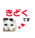 とろろくん（個別スタンプ：21）