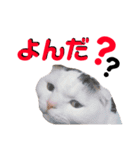 とろろくん（個別スタンプ：23）