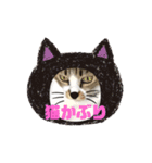 ハロウィン気分のネコ（個別スタンプ：6）